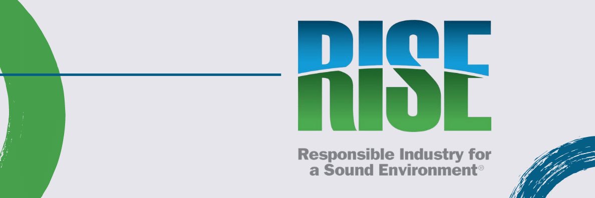 RISE banner