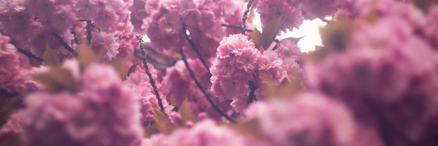 DavidJonSpem's profile banner image