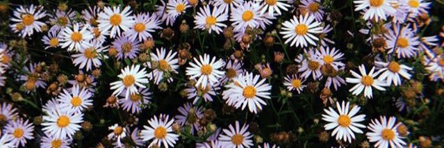 Jess_Wells92's profile banner image