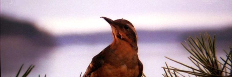 davidkers's profile banner image