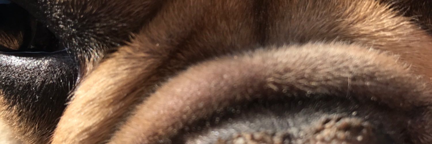 jocob123's profile banner image