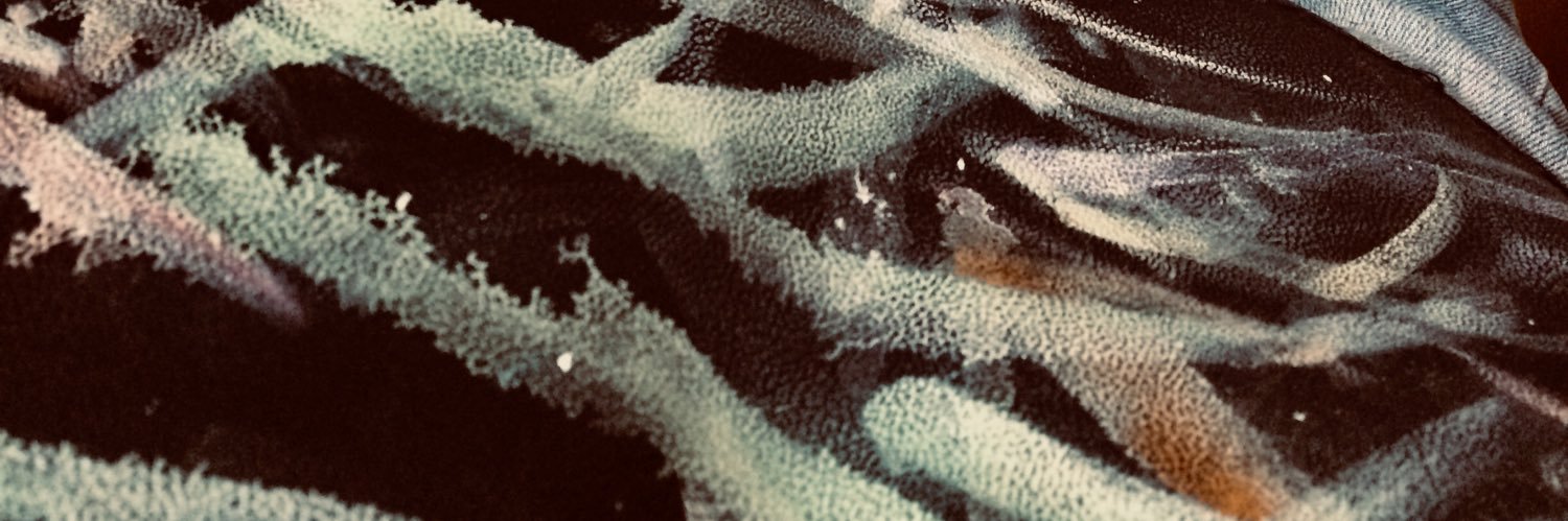 SebastianLevide's profile banner image