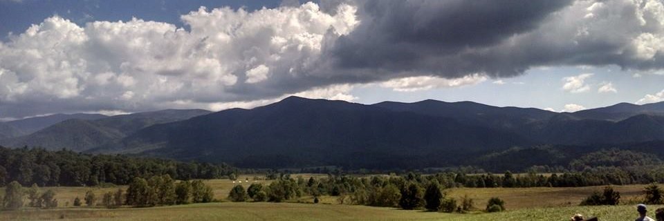 AmyESmith77's profile banner image