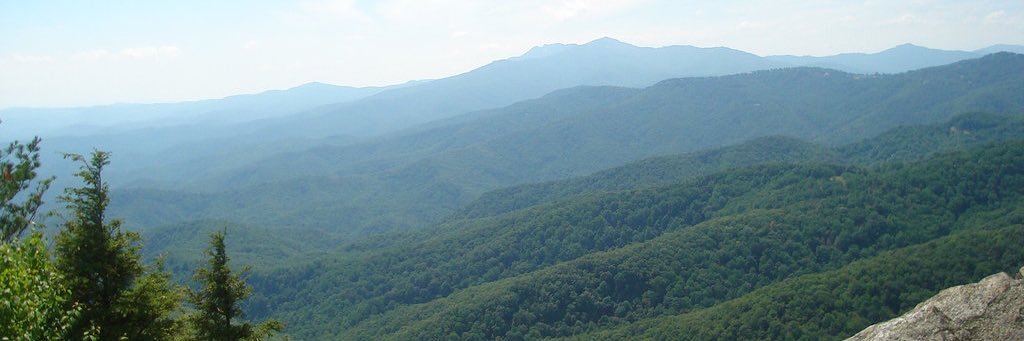 CCLC2's profile banner image