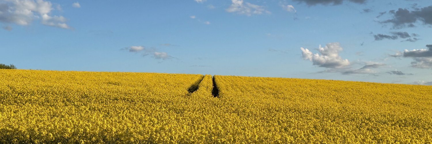 Dan banner
