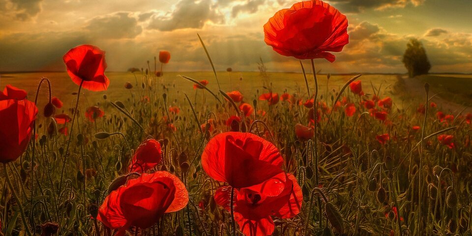 Saz's Stuff & Such banner