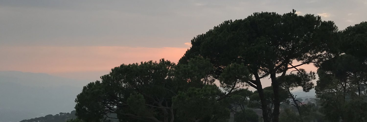 Abdullahalkafri's profile banner image