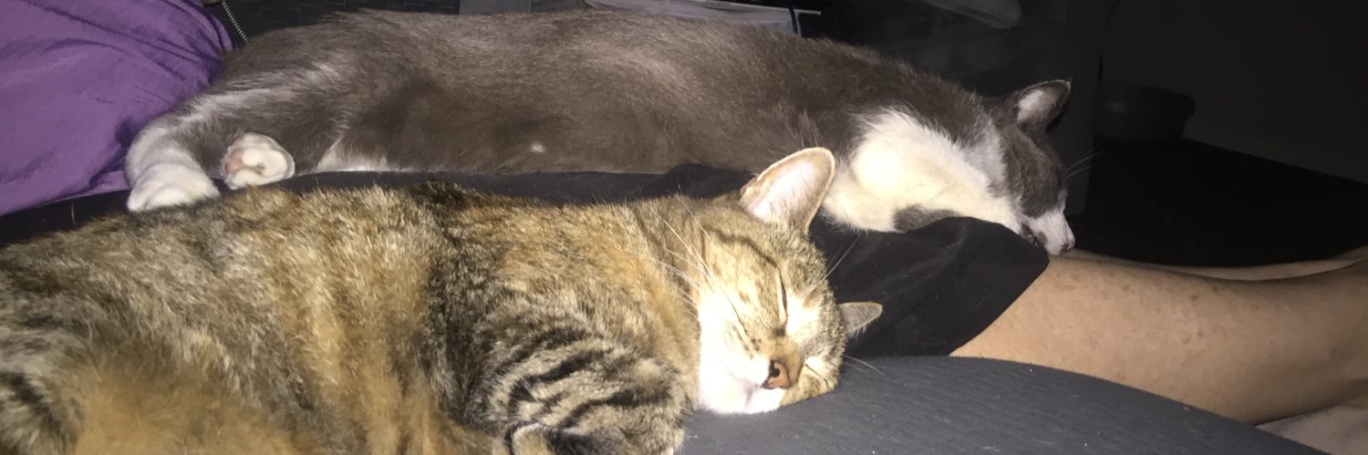 elizgilbert3's profile banner image