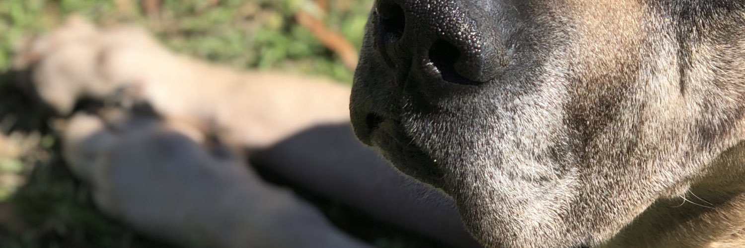 Nsashamarie's profile banner image