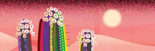 Zellyfy's profile banner image