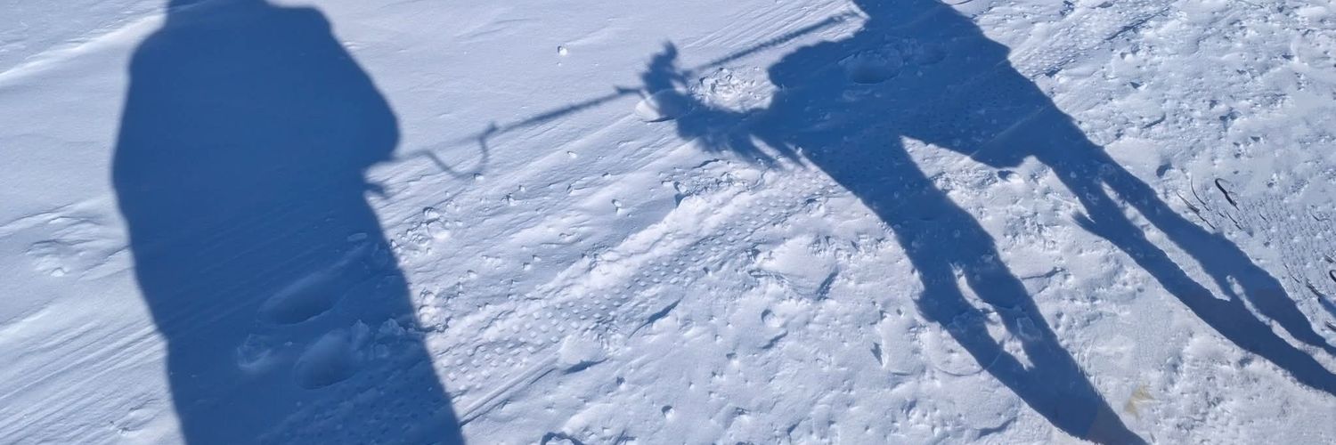 BonjourQuebec's profile banner image
