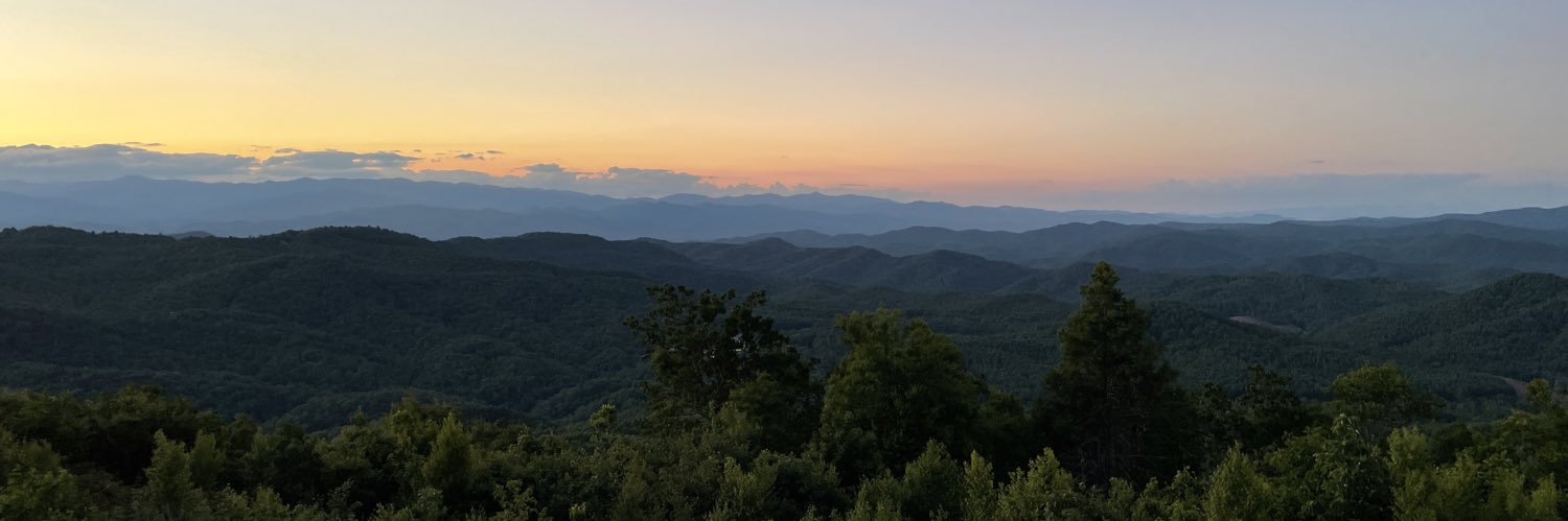 Jessica D. Preisig banner