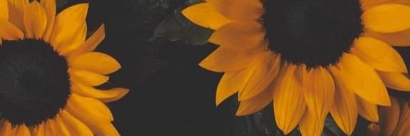 Juwhore's profile banner image