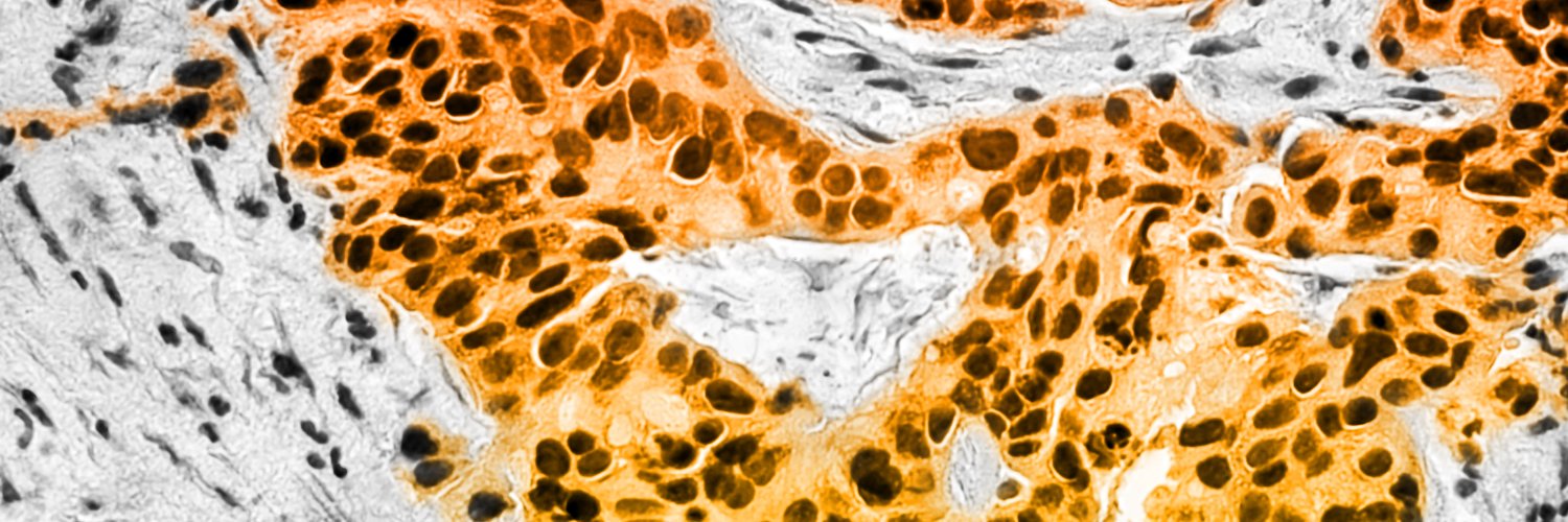 On Target Laboratories, Inc. banner