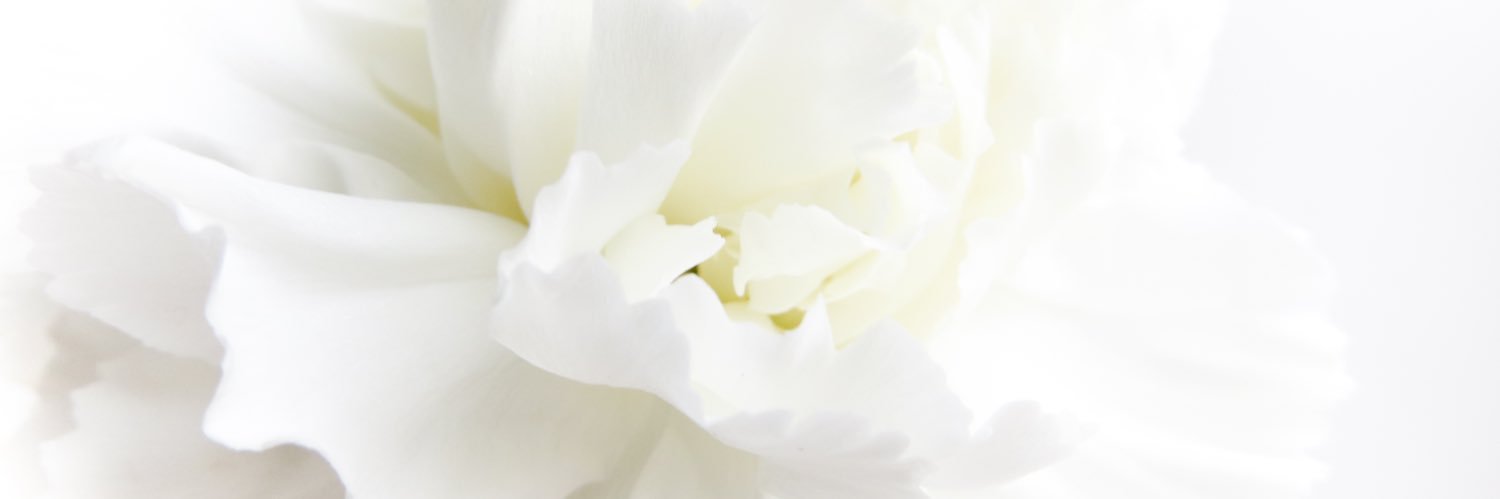 brionycrew's profile banner image