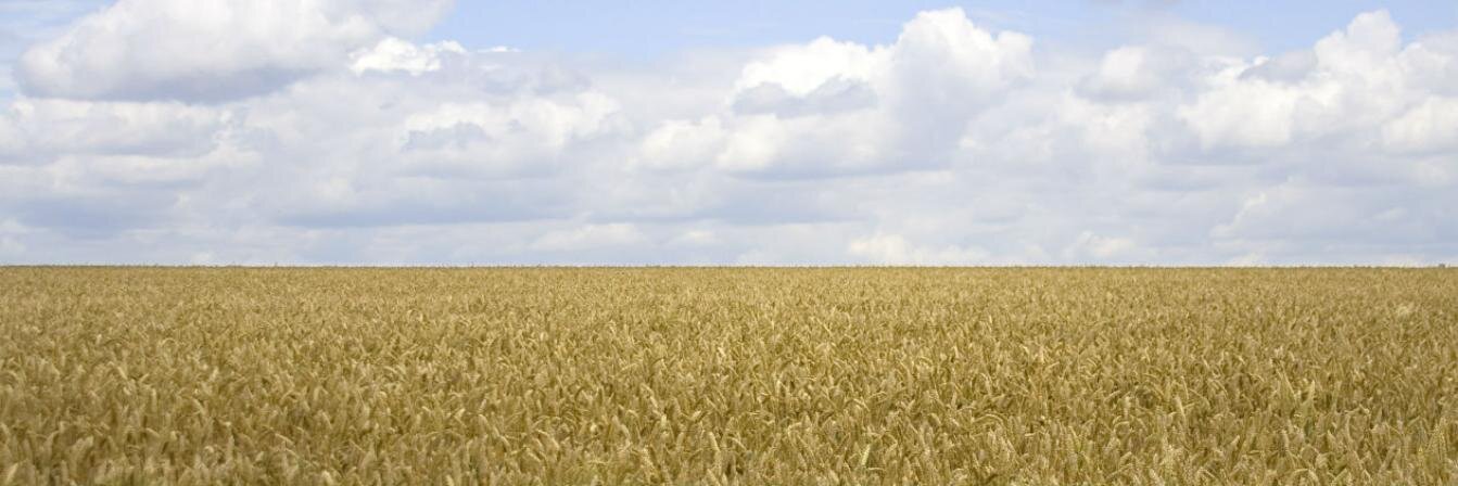 AgroDnevnik's profile banner image