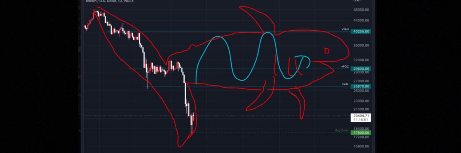 Shark__Crypto's profile banner image