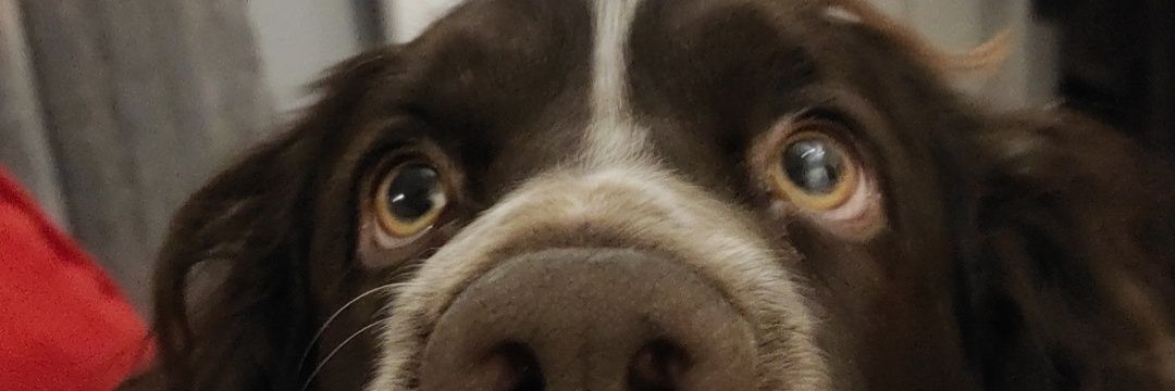 _TheHammerer_'s profile banner image