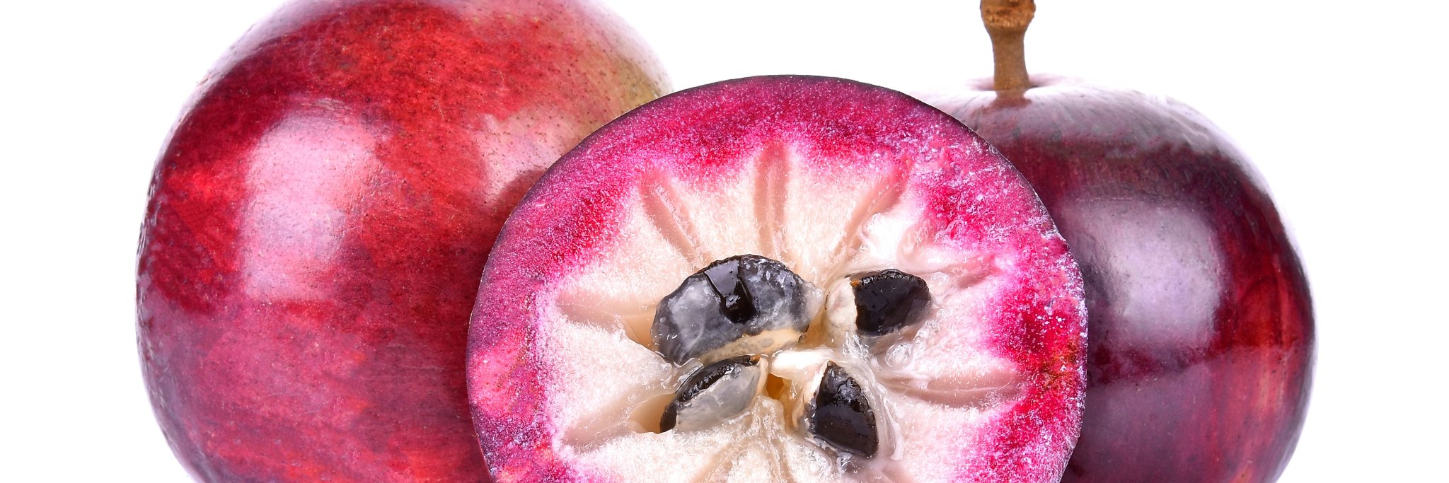 MyExoticFruit's profile banner image