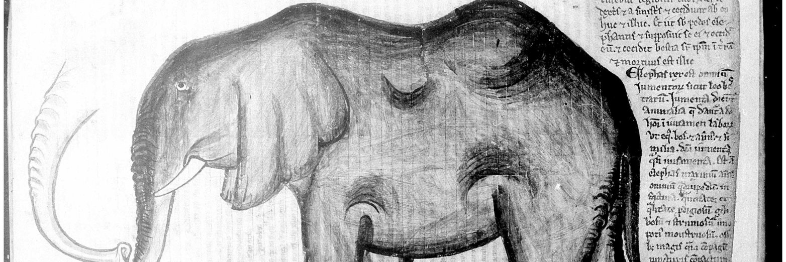 Dr Manuel Muñoz 🏳️‍🌈 banner