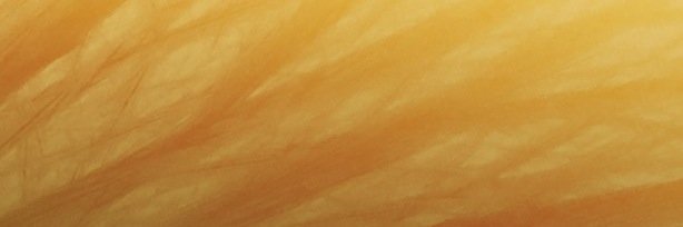 Liking Onself banner