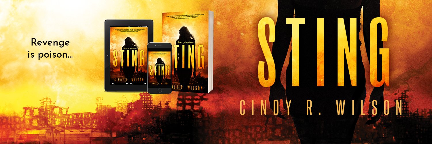 CindyRWilson's profile banner image
