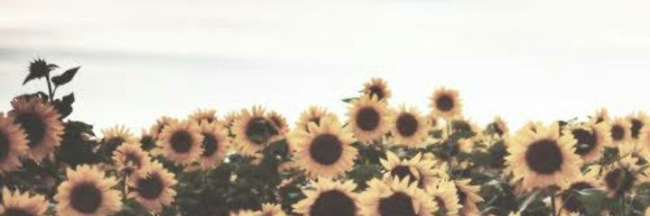 ata5h's profile banner image