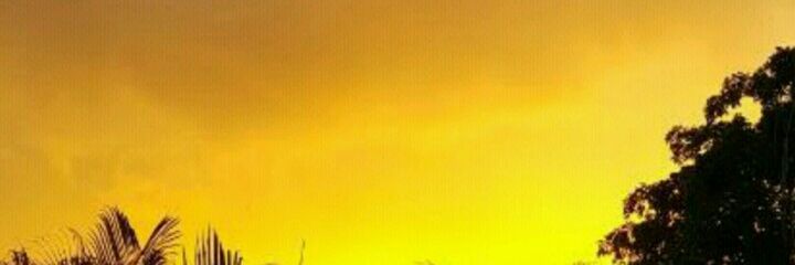 GullyBoyGh's profile banner image