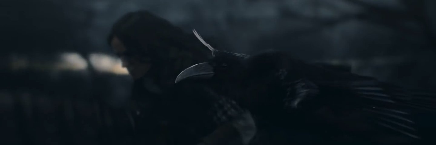 Raven banner