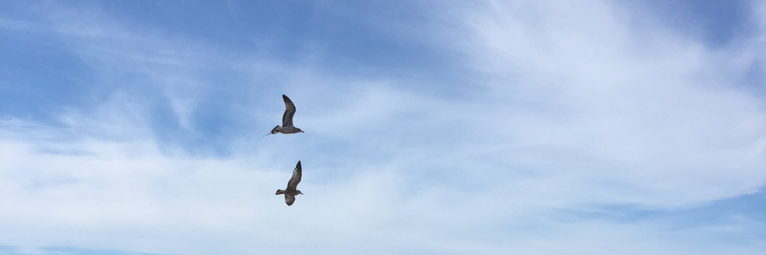 mloui33's profile banner image