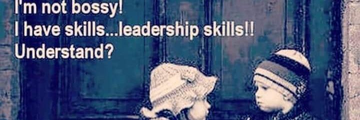 Chris Skogsberg banner