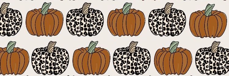 jillianduncan__'s profile banner image