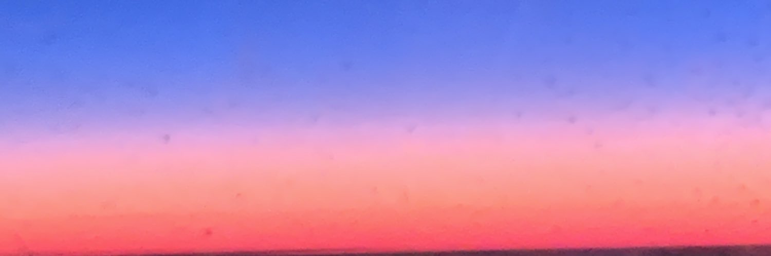 alicechicani's profile banner image