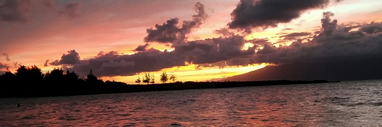 EmeraldOmega's profile banner image
