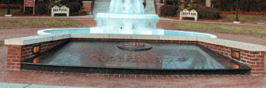 Lindsay Hartman banner