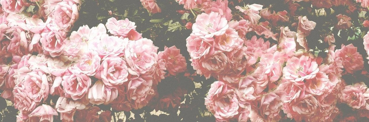 - Sherry - banner