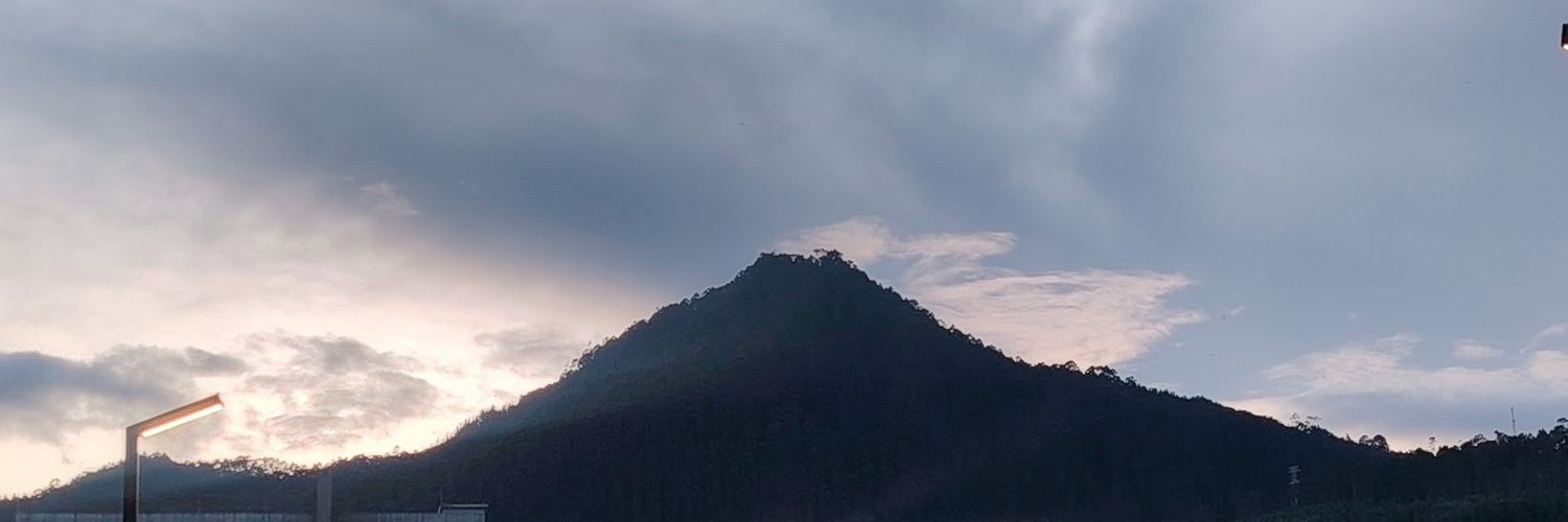 YINA2254's profile banner image