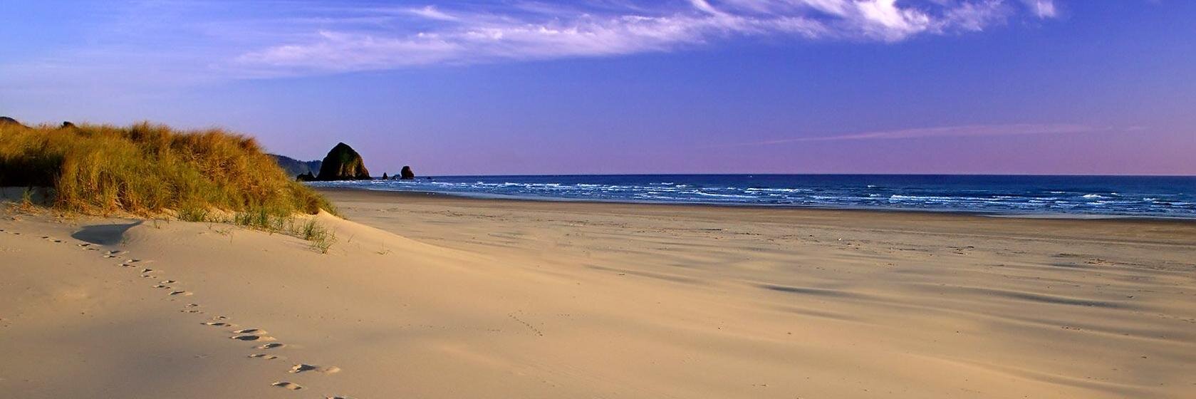 Life Insurance banner