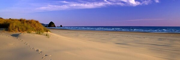 LifeQuote Profile Banner