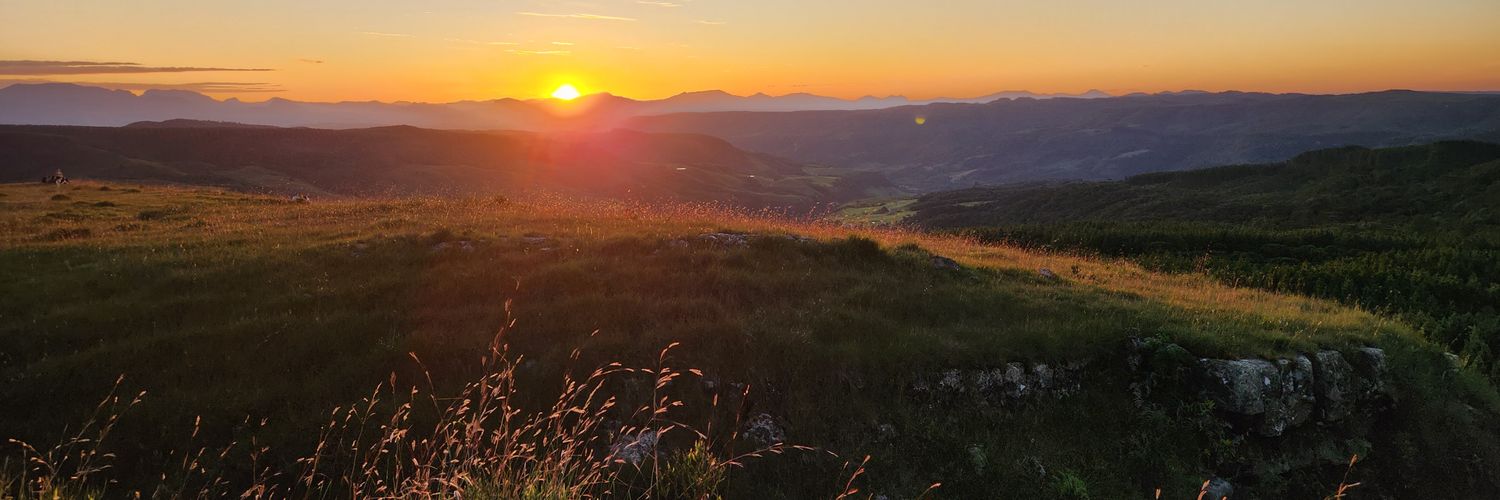 Rodrigo Ferreira banner