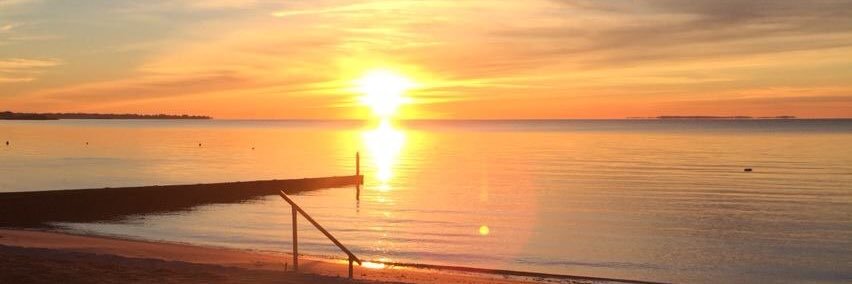 Jackie Little Miller banner