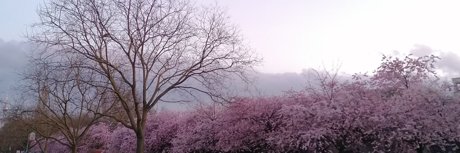 Lie_Majesty's profile banner image