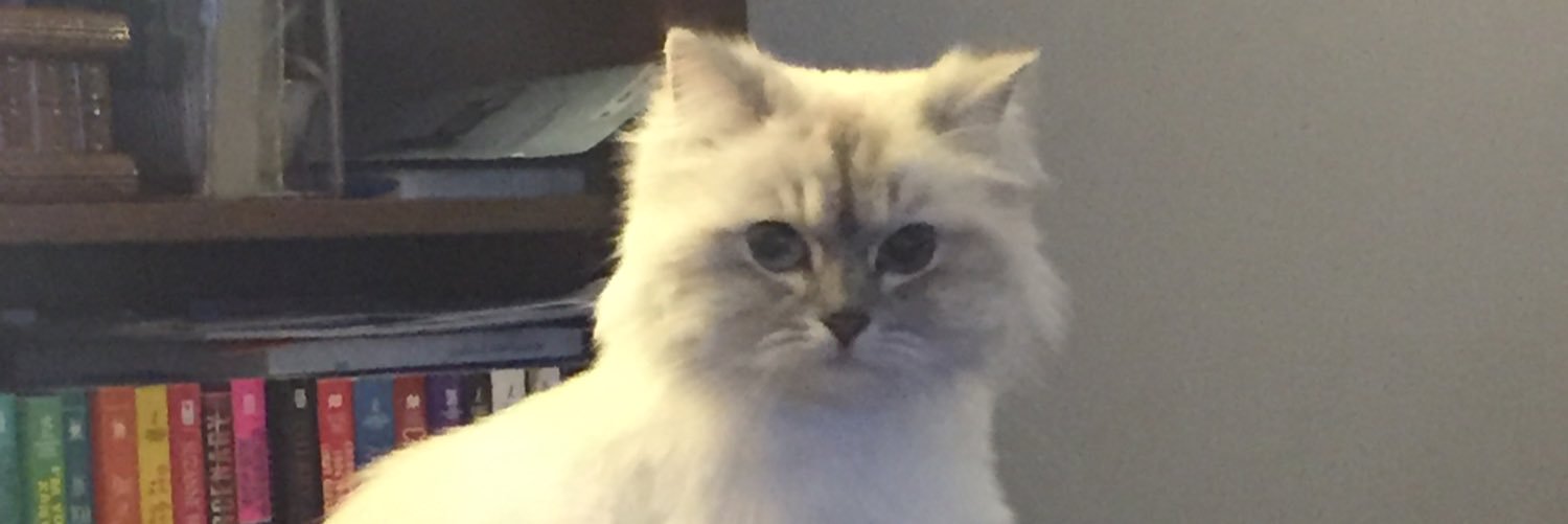 4Hannah76's profile banner image