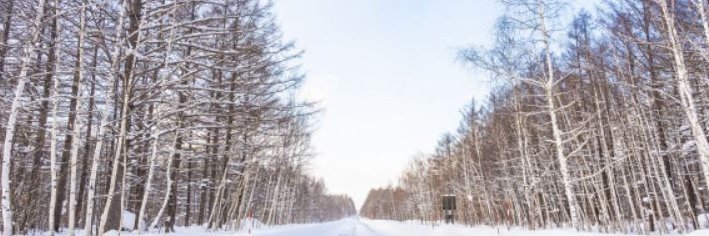 okojo_snow's profile banner image