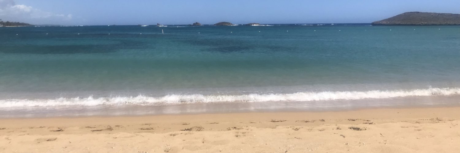 Patricia Rivera banner