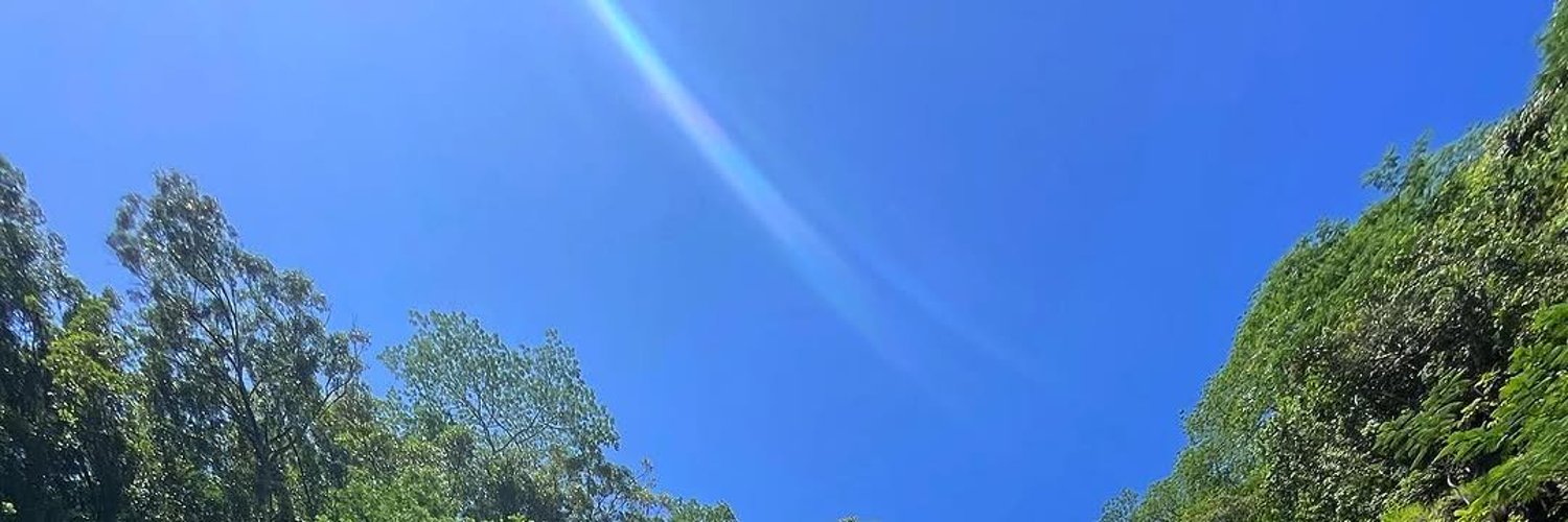 SaAlice19's profile banner image