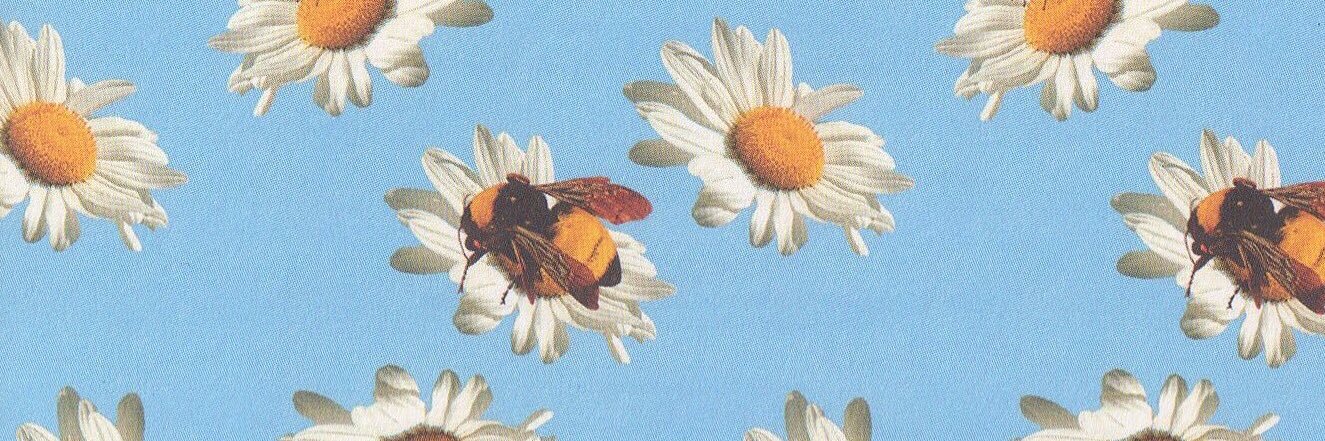 AlohaAlani's profile banner image
