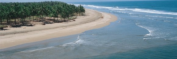 Juan Manuel González banner