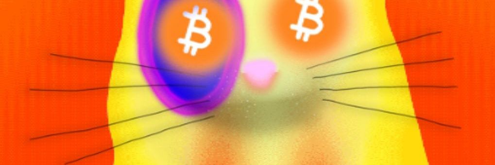 degenpie's profile banner image