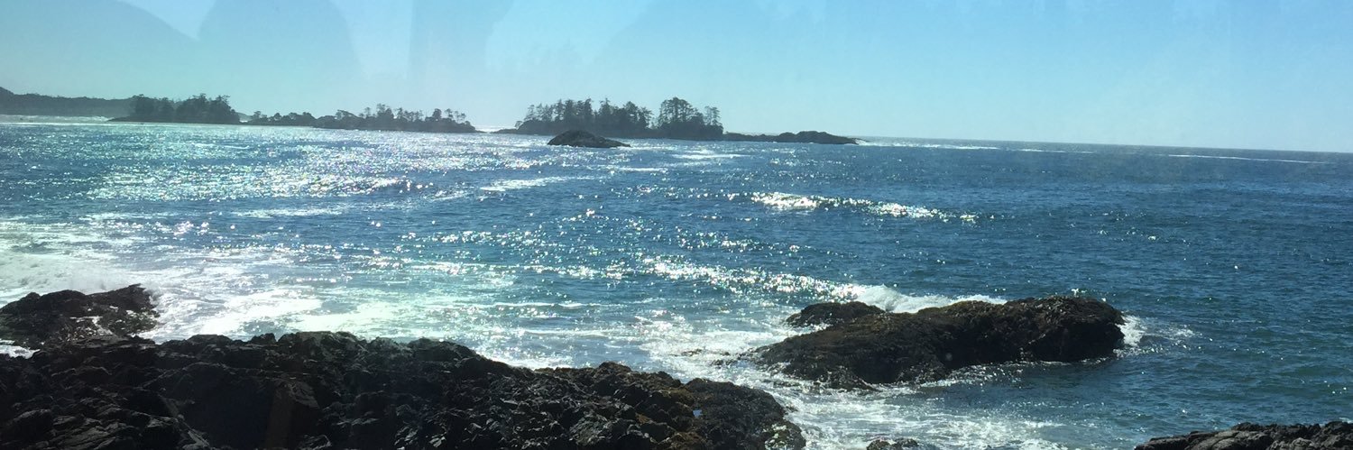 Burrowsdaughter's profile banner image